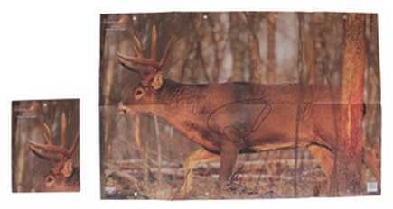Birchwood Casey 37481 EZE-Scorer Whitetail Deer Paper 23" X 35"